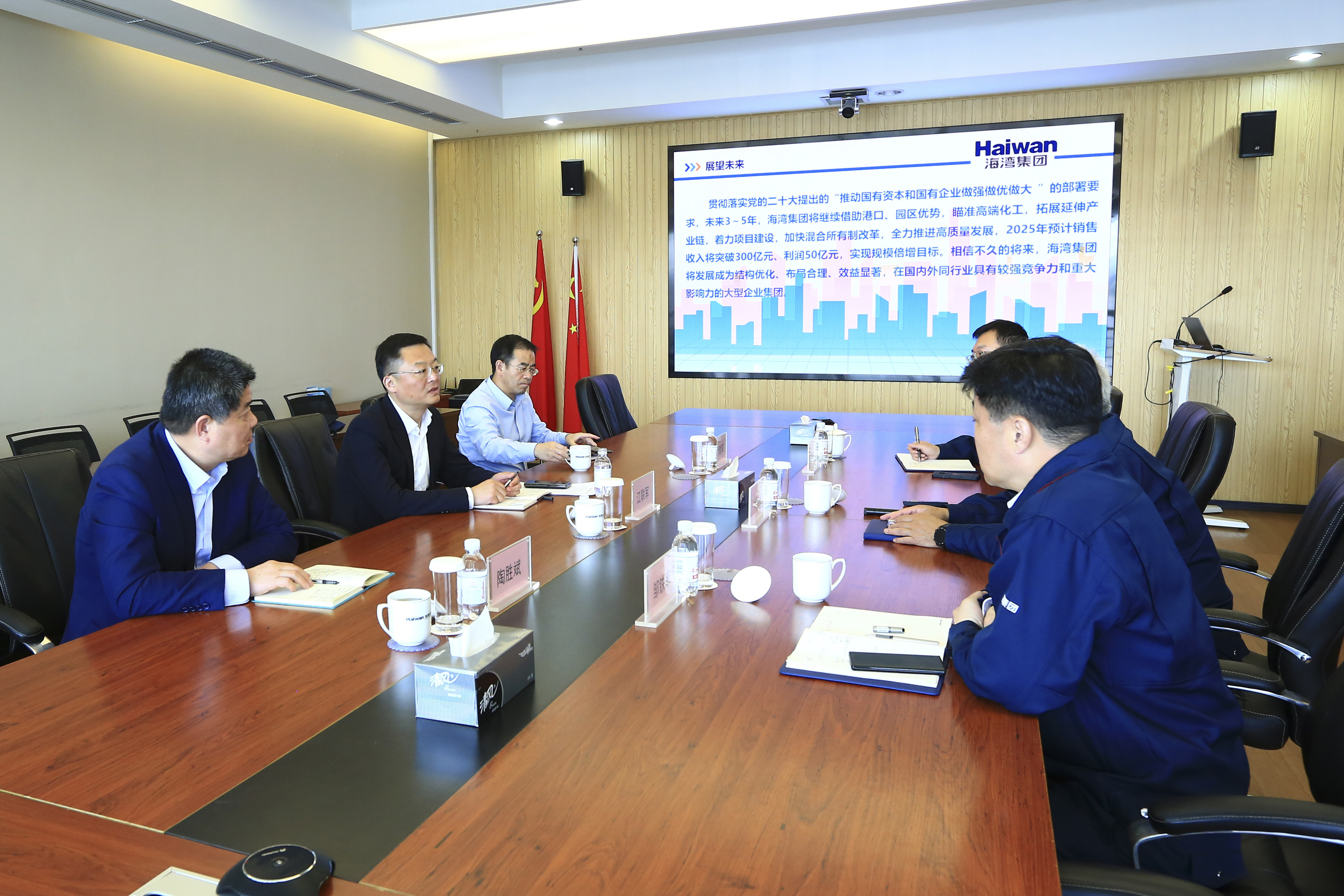 市政(zheng)府副秘書長到海(hai)灣化學調研