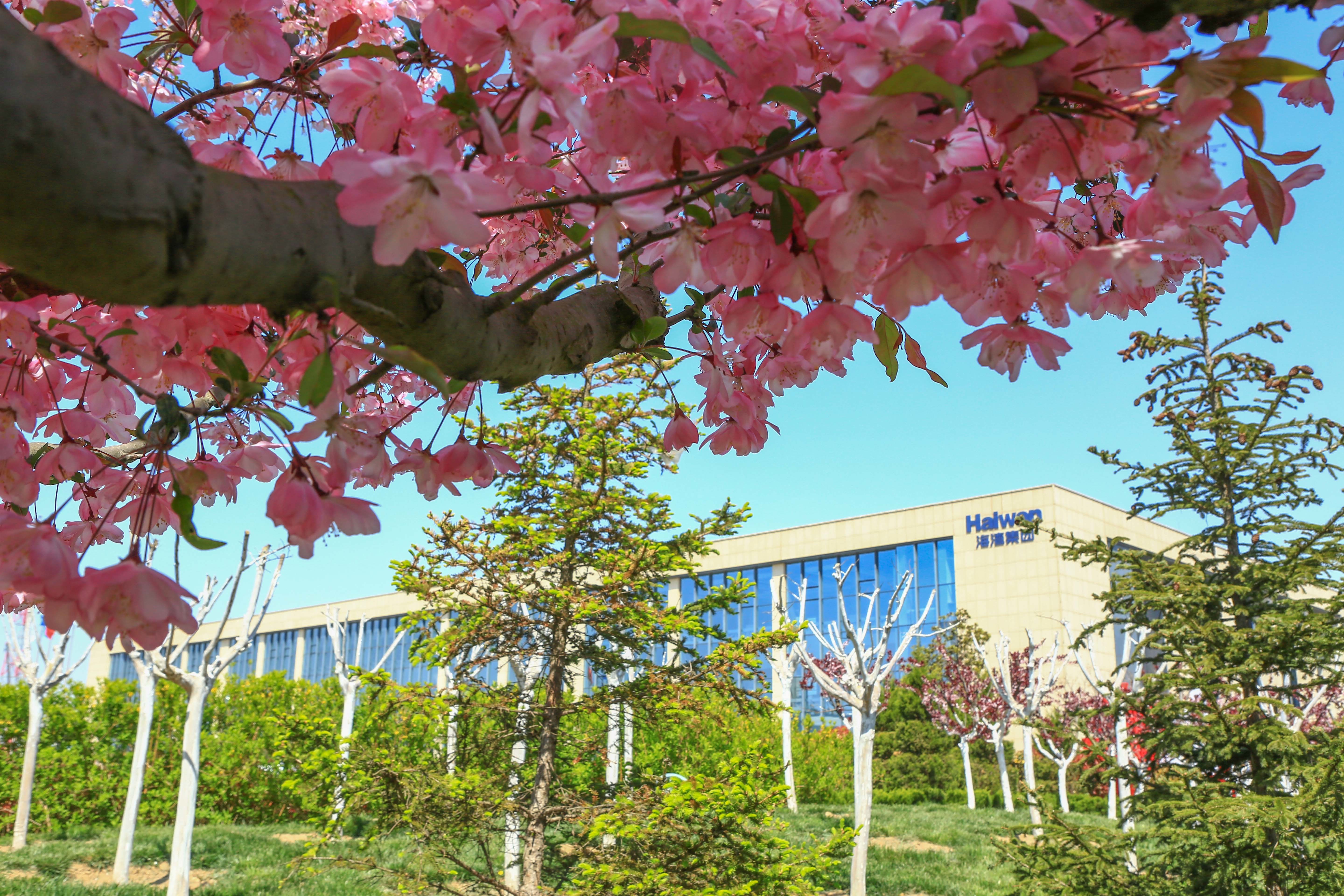 海灣化學組(zu)織“愛心基金”捐款(kuǎn)