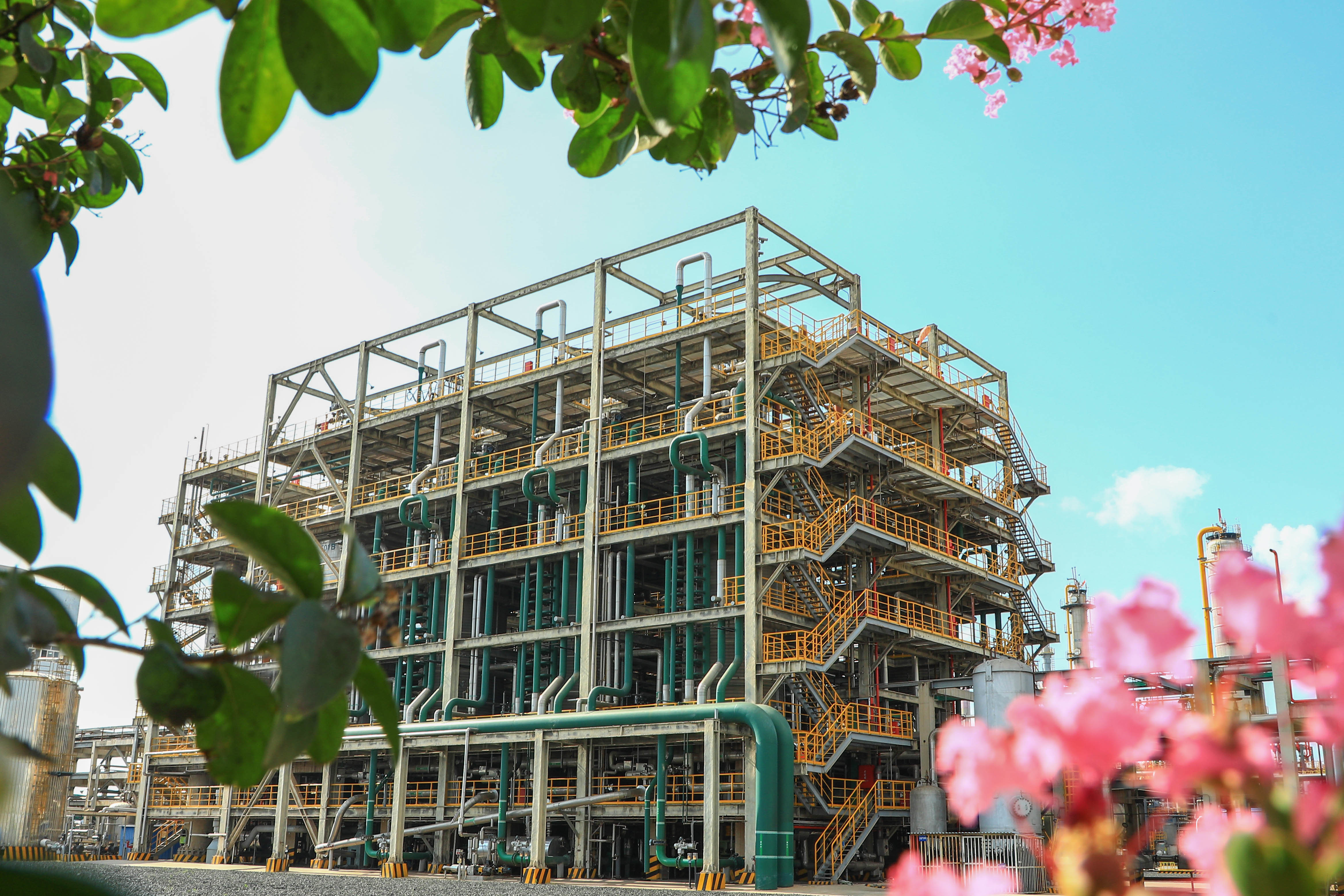 海灣化(huà)學上榜中(zhōng)國品牌價(jià)值排行榜(bǎng)